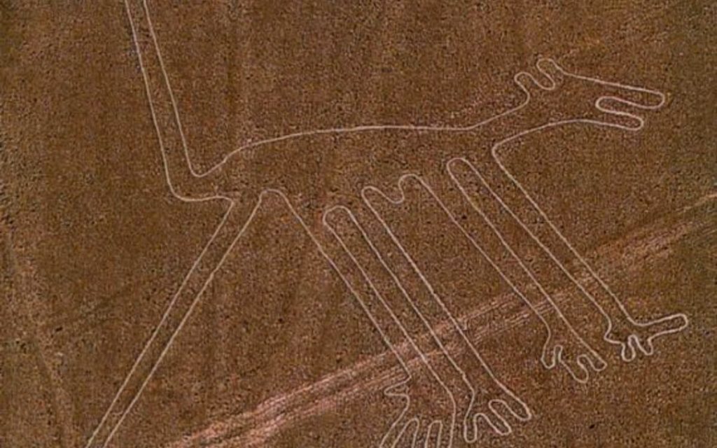 nazca-lines-dog