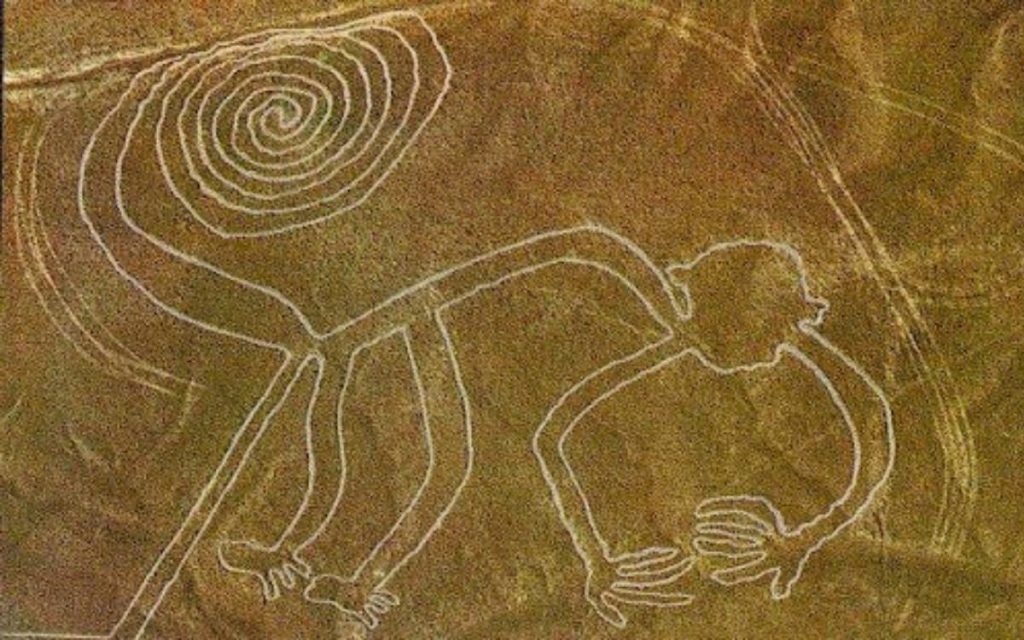 nazca-lines-monkey
